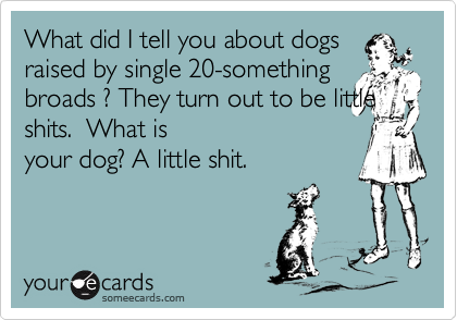 What did I tell you about dogs raised by single 20-something broads ? They turn out to be little shits.  What is
your dog? A little shit.