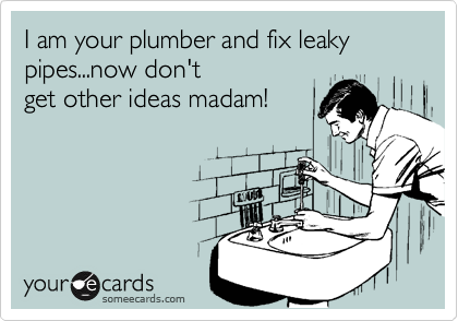 I am your plumber and fix leaky  pipes...now don't
get other ideas madam!
