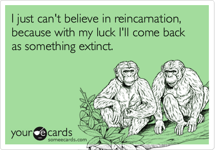 I just can't believe in reincarnation, because with my luck I'll come back as something extinct.