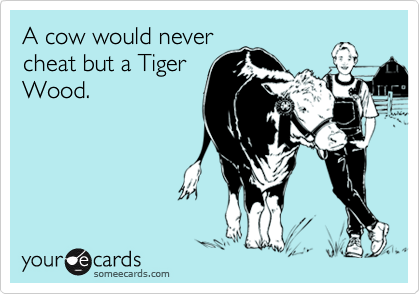 A cow would never
cheat but a Tiger
Wood.