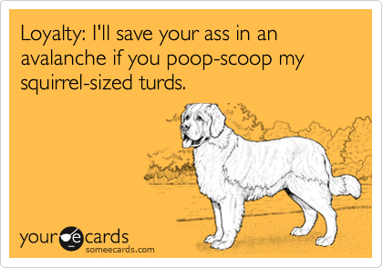 Loyalty: I'll save your ass in an avalanche if you poop-scoop my squirrel-sized turds.