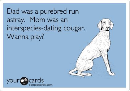 Dad was a purebred run 
astray.  Mom was an
interspecies-dating cougar.
Wanna play?