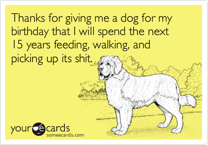 Thanks for giving me a dog for my birthday that I will spend the next 15 years feeding, walking, and
picking up its shit.