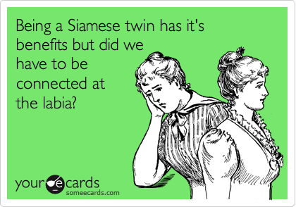Being a Siamese twin has it's benefits but did we
have to be
connected at
the labia?