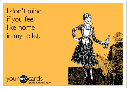 I don't mind  
if you feel
like home 
in my toilet.

