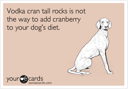 Vodka cran tall rocks is not
the way to add cranberry
to your dog's diet.