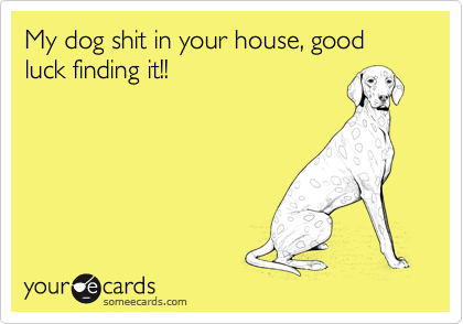 My dog shit in your house, good luck finding it!!