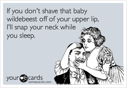 If you don't shave that baby wildebeest off of your upper lip,
I'll snap your neck while
you sleep.