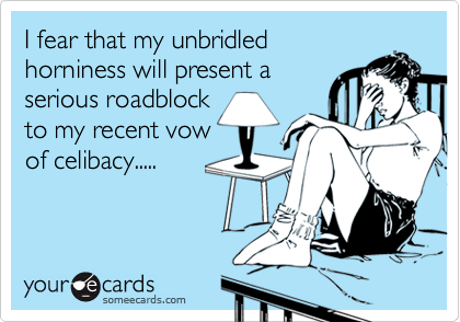 I fear that my unbridled
horniness will present a
serious roadblock
to my recent vow
of celibacy.....