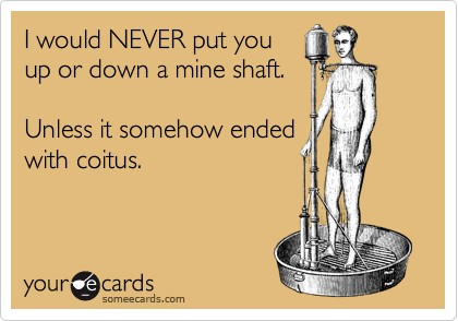 I would NEVER put you
up or down a mine shaft.

Unless it somehow ended
with coitus.
