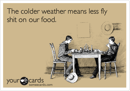 The colder weather means less fly shit on our food. 