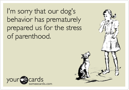 I'm sorry that our dog's
behavior has prematurely
prepared us for the stress 
of parenthood.