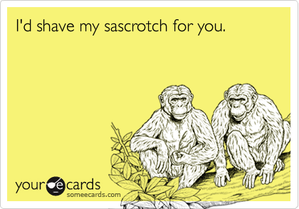 I'd shave my sascrotch for you.