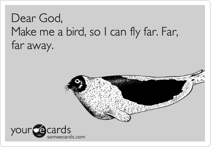 Dear God, 
Make me a bird, so I can fly far. Far, far away.