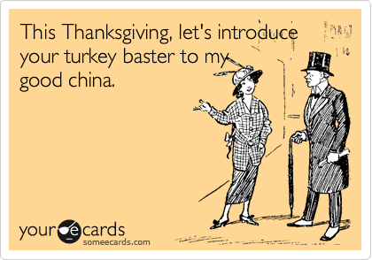 This Thanksgiving, let's introduce your turkey baster to my
good china. 