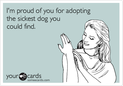 I'm proud of you for adopting
the sickest dog you
could find.