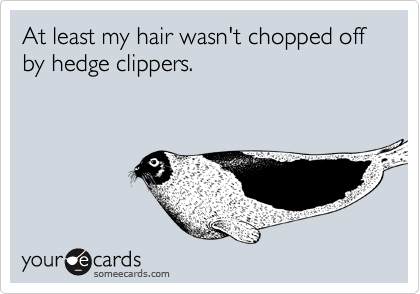 At least my hair wasn't chopped off by hedge clippers.