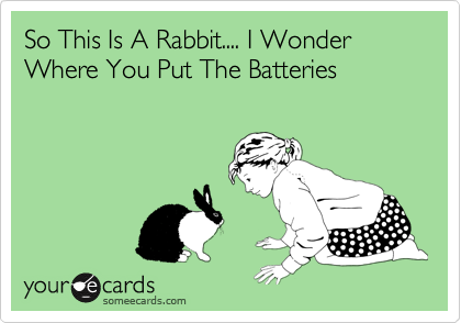 So This Is A Rabbit.... I Wonder Where You Put The Batteries