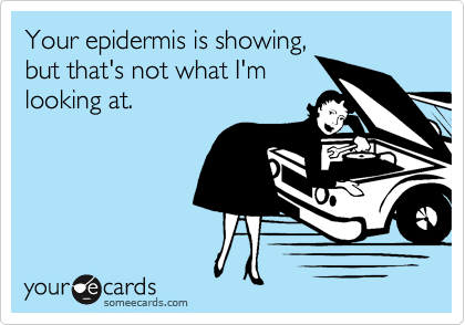 Your epidermis is showing,
but that's not what I'm
looking at.