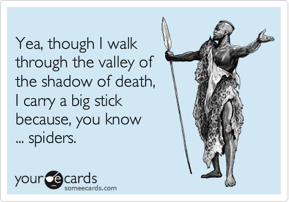 
Yea, though I walk 
through the valley of 
the shadow of death, 
I carry a big stick 
because, you know 
... spiders.