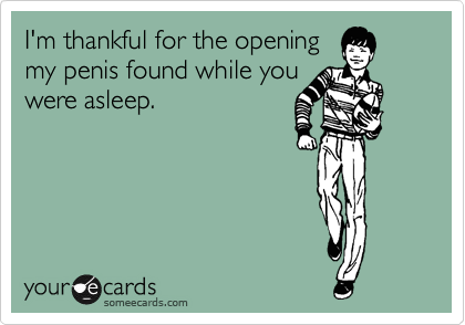 I'm thankful for the opening 
my penis found while you
were asleep.  