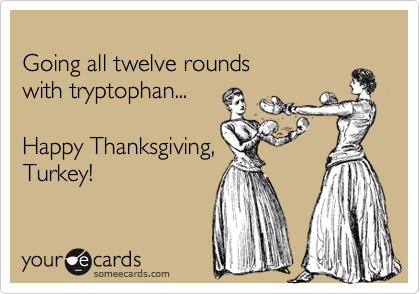 
Going all twelve rounds
with tryptophan...

Happy Thanksgiving,
Turkey! 