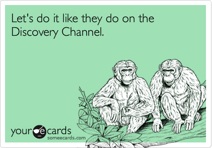 Let's do it like they do on the Discovery Channel.