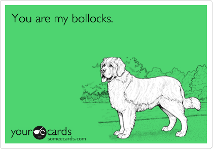 You are my bollocks.
