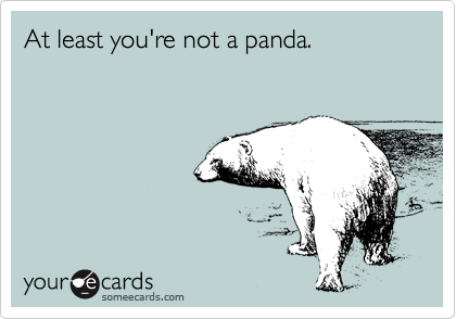 At least you're not a panda.