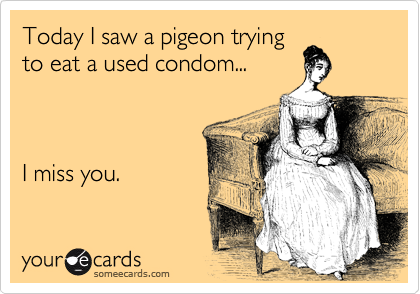 Today I saw a pigeon trying
to eat a used condom...   



I miss you.