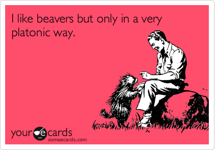 I like beavers but only in a very platonic way.