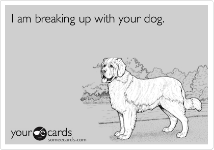 I am breaking up with your dog.