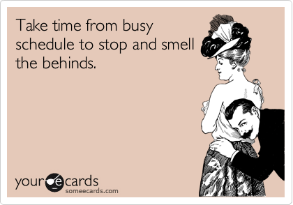 Take time from busy
schedule to stop and smell
the behinds. 