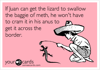 If Juan can get the lizard to swallow the baggie of meth, he won't have to cram it in his anus to
get it across the
border.