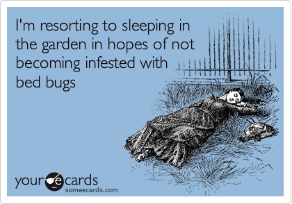 I'm resorting to sleeping in
the garden in hopes of not
becoming infested with
bed bugs