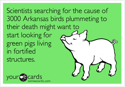 Scientists searching for the cause of 3000 Arkansas birds plummeting to their death might want to
start looking for
green pigs living
in fortified
structures.