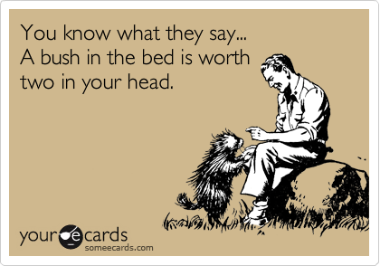 You know what they say...
A bush in the bed is worth
two in your head.