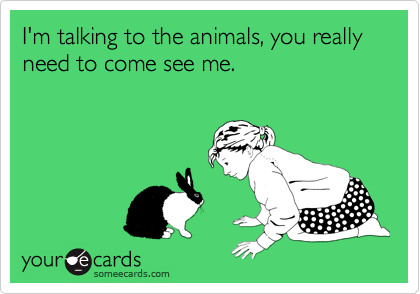 I'm talking to the animals, you really need to come see me.