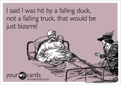 I said I was hit by a falling duck, 
not a falling truck, that would be just bizarre!