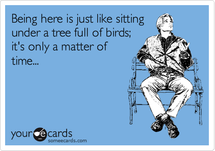Being here is just like sitting
under a tree full of birds; 
it's only a matter of
time...