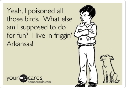Yeah, I poisoned all
those birds.  What else
am I supposed to do
for fun?  I live in friggin'
Arkansas!