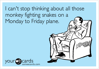 I can't stop thinking about all those monkey fighting snakes on a
Monday to Friday plane.