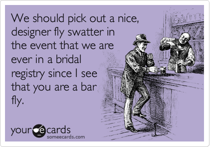 We should pick out a nice,
designer fly swatter in
the event that we are
ever in a bridal
registry since I see
that you are a bar
fly.