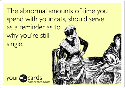 The abnormal amounts of time you spend with your cats, should serve as a reminder as to
why you're still
single.