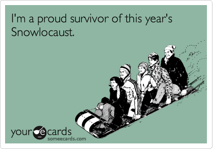 I'm a proud survivor of this year's Snowlocaust.