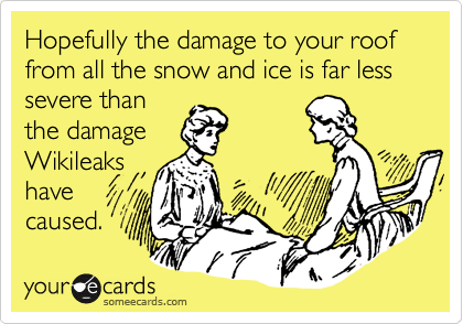 Hopefully the damage to your roof from all the snow and ice is far less severe than
the damage 
Wikileaks
have
caused.