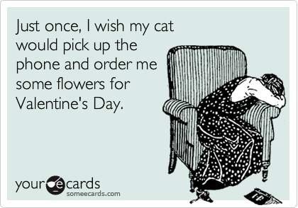 Just once, I wish my cat
would pick up the 
phone and order me
some flowers for
Valentine's Day.