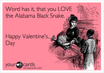 Word has it, that you LOVE 
the Alabama Black Snake.


Happy Valentine's 
Day
