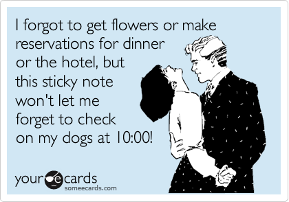 I forgot to get flowers or make reservations for dinner 
or the hotel, but 
this sticky note
won't let me
forget to check
on my dogs at 10:00!