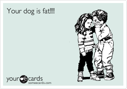 Your dog is fat!!!!